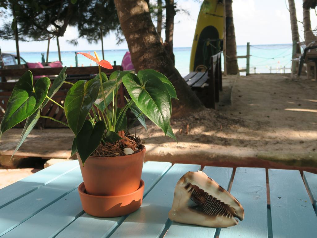 Eco Hotel Club Rolling Stone Boca Chica Eksteriør billede