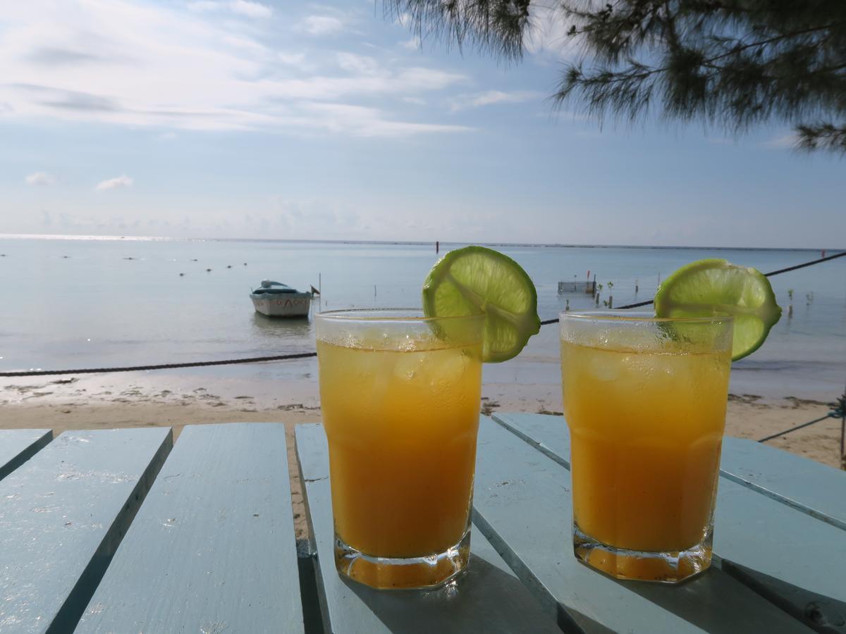 Eco Hotel Club Rolling Stone Boca Chica Eksteriør billede